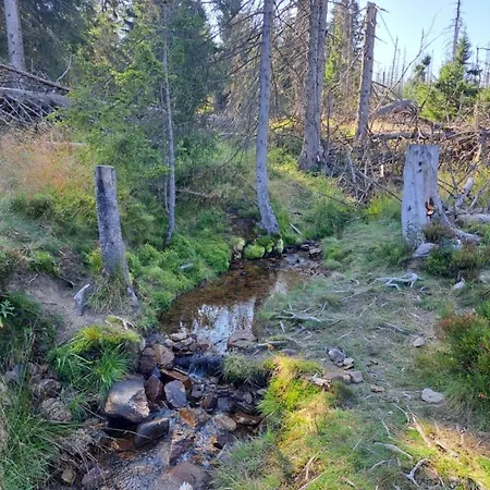 דירה Pfeiffer Klein