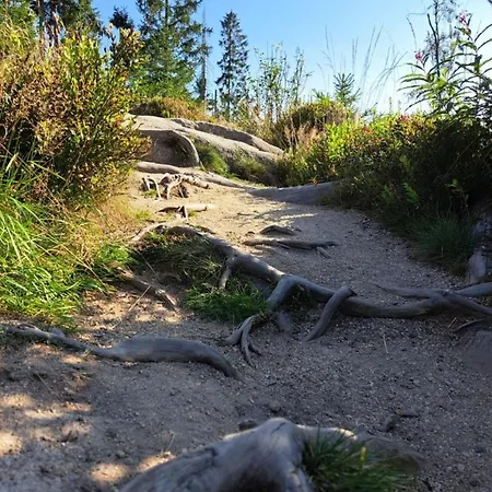 דירה Pfeiffer Klein *