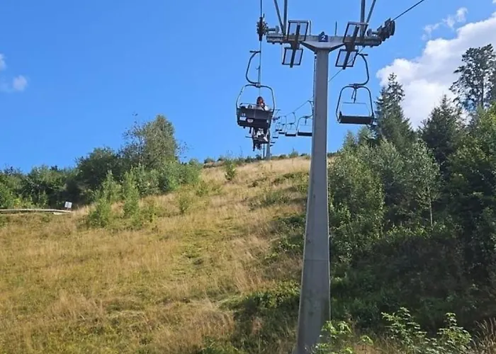 Pfeiffer Klein Daire *